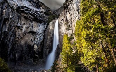 Scenic view of waterfall in forest