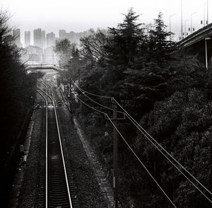 High angle view of railroad tracks amidst trees