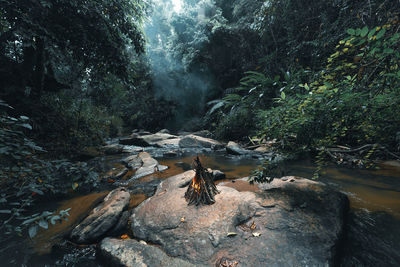 Scenic view of waterfall in forest