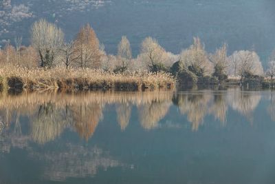 Winter reflection on landscape lake