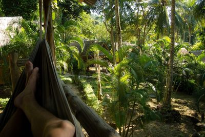 Low section of man in forest