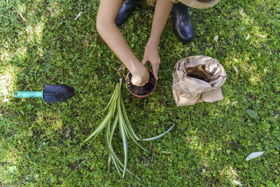 Low section of woman holding leaf on grass