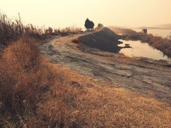 Scenic view of landscape against clear sky