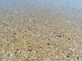 High angle view of sandy beach