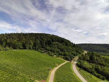 Panoramic shot of road amidst trees on field against sky