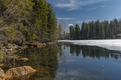 Scenic view of lake in forest against sky