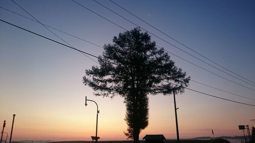 Silhouette tree against sky during sunset