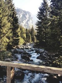 Scenic view of waterfall in forest during winter