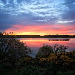 Scenic view of lake at sunset