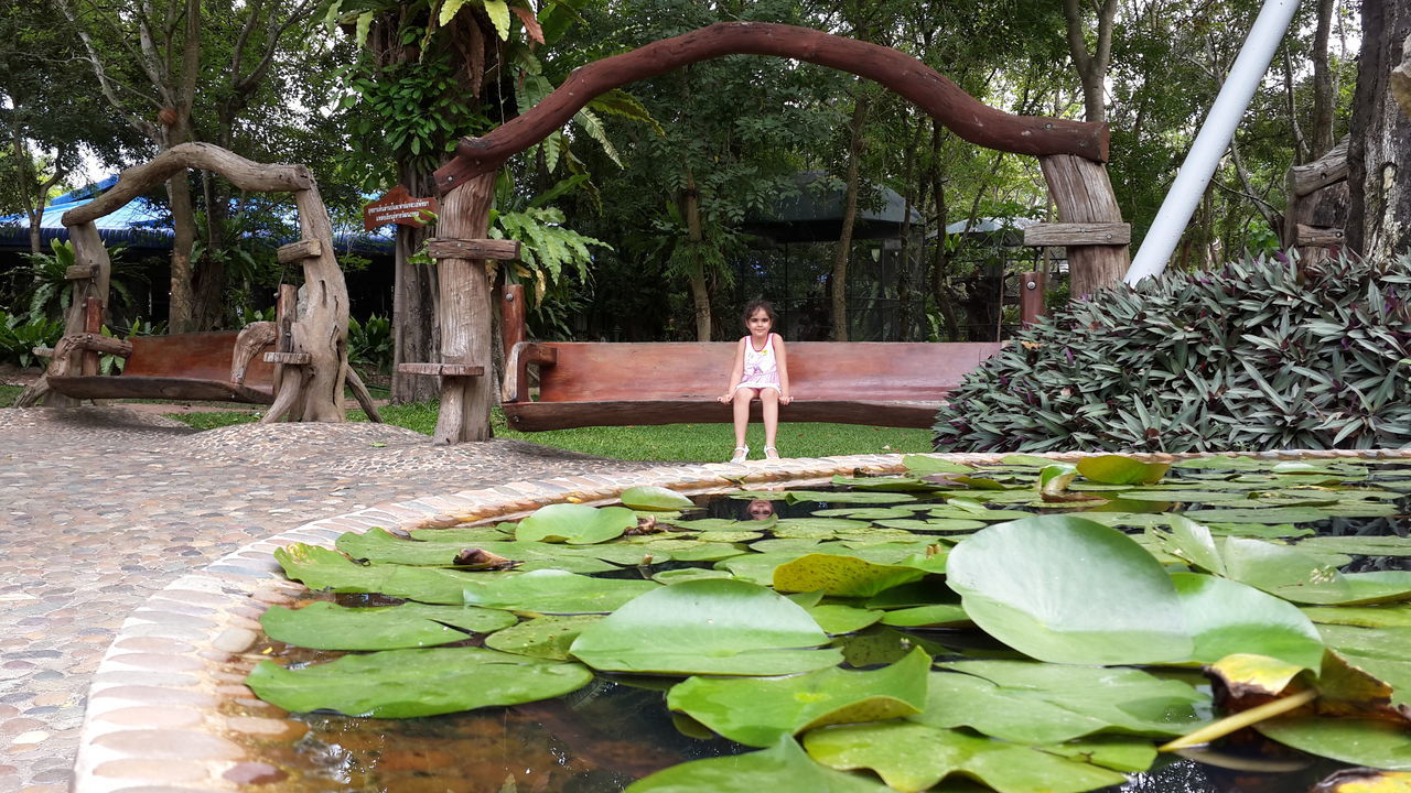 garden, plant, tree, nature, backyard, water, pond, day, growth, yard, flower, leaf, green, plant part, full length, one person, botanical garden, leisure activity, outdoors, lifestyles, adult, women, jungle, beauty in nature, tranquility, men, standing, water lily, water feature