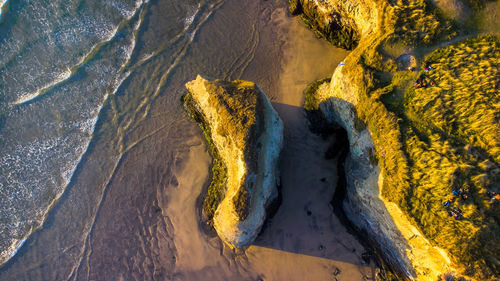 High angle view of driftwood on beach