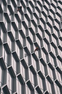 Low angle view of person cleaning wall