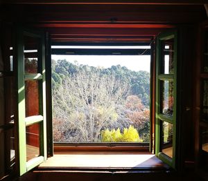 View of trees through window