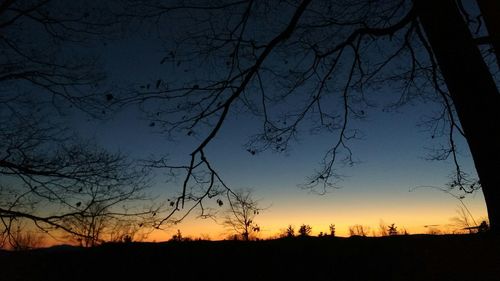 Silhouette of bare trees on landscape at sunset