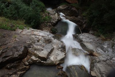 Scenic view of waterfall in forest