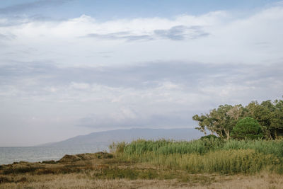 Scenic view of field against sky