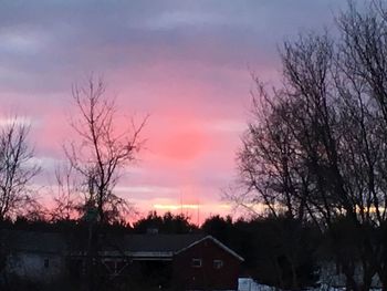 Bare trees against cloudy sky at sunset