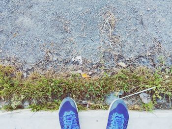 Low section of person standing by plants