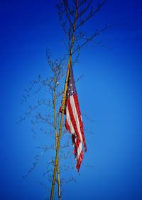 Low angle view of tree against clear blue sky