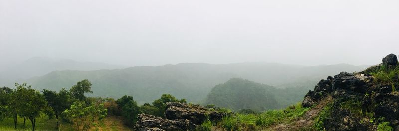 Trees on mountain against sky during foggy weather