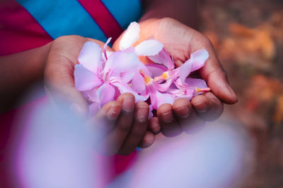 Close-up of hand holding pink flower