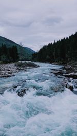 Scenic view of river against sky