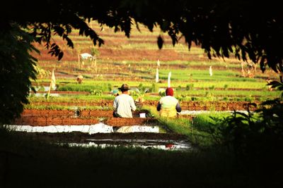 Rear view of men sitting on field