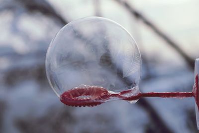 Close-up of bubbles in water