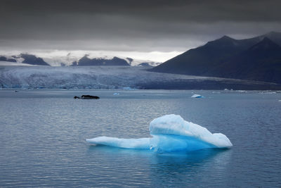 High angle view of iceberg in sea