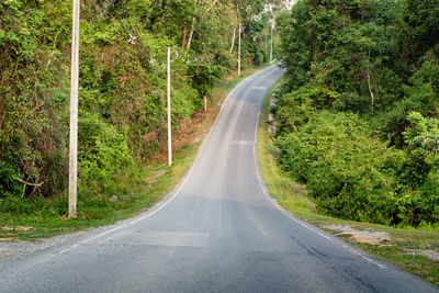 Road amidst trees in forest