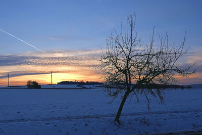 Silhouette bare tree by lake against sky during sunset