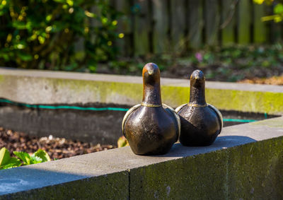 Close-up of rusty metal on retaining wall in park