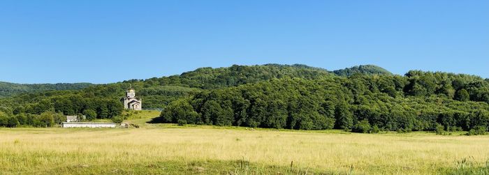 Scenic view of trees on field against clear sky