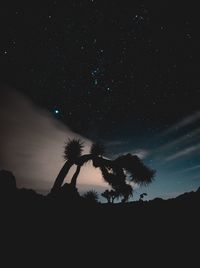 Low angle view of silhouette trees against sky at night