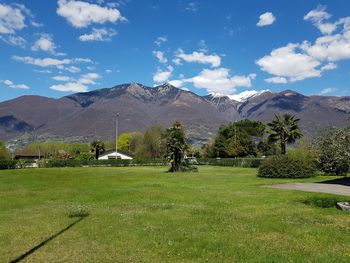 Scenic view of field against sky