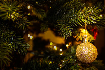 Close-up of bauble hanging on christmas tree