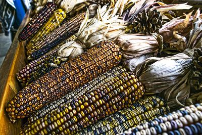 Display of indian corn on fall day