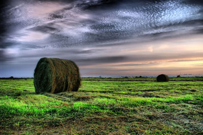 Scenic view of grassy field against cloudy sky