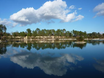 Reflection of trees in calm lake