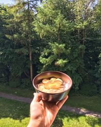 Midsection of person holding ice cream cone against trees