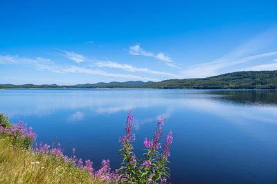 Scenic view of lake against blue sky