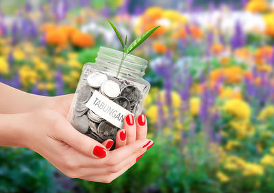 Cropped image of person holding flower