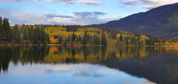 Scenic view of lake by trees against sky