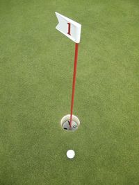 High angle view of golf ball by hole at course