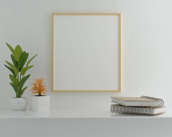 Potted plant on table against white wall