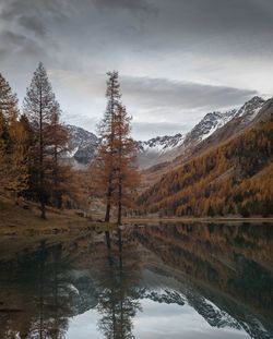 Scenic view of lake by trees against sky