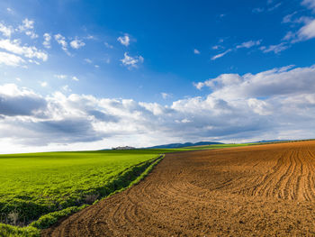 Landscape in fuente de piedra, malaga, spain