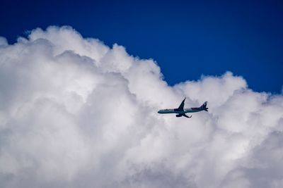 Low angle view of airplane flying in sky