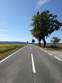 Road amidst trees against sky