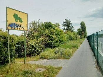 Road passing through forest